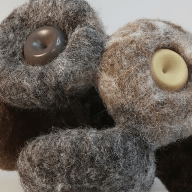 Mycelium 3