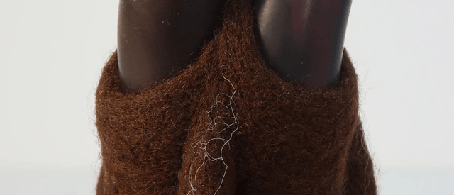 Mycelium 4