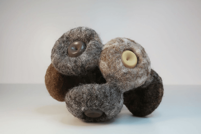 Mycelium 3