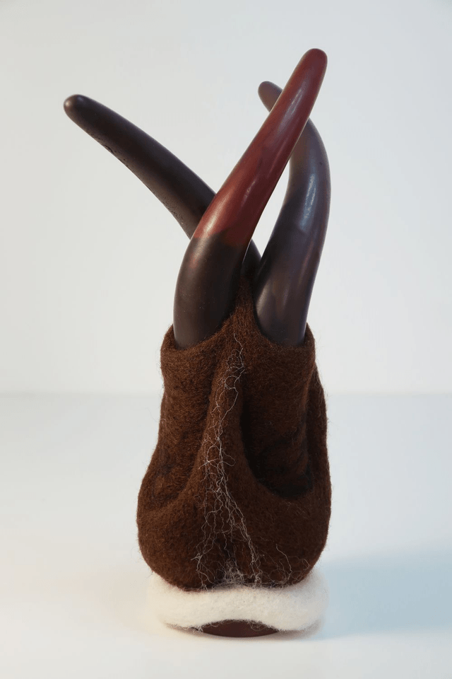 Mycelium 4