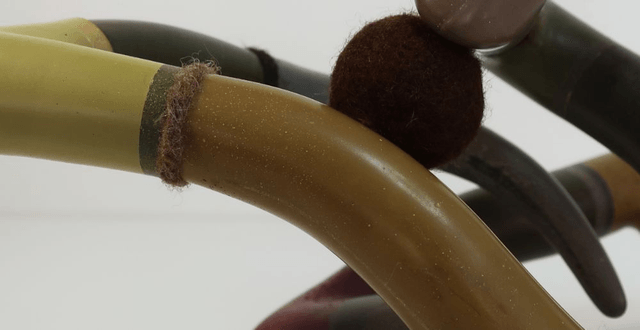 Mycelium 5