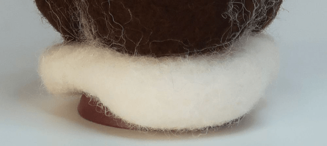 Mycelium 4