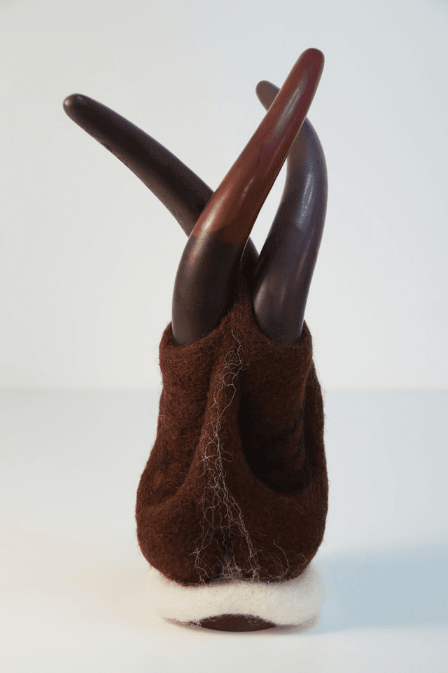 Mycelium 4